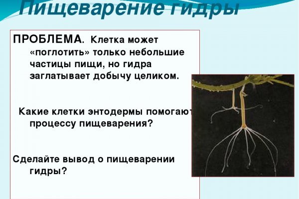Кракен не работает сегодня