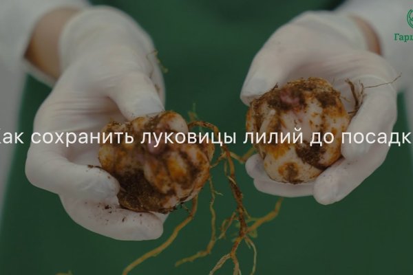 Кракен как зайти