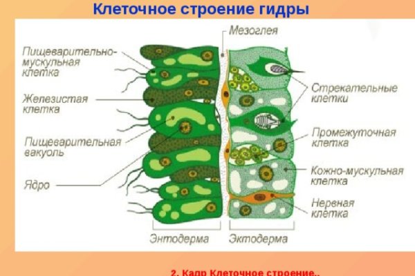 Кракен наркоман