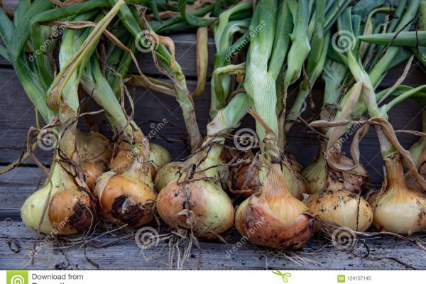 Кракен ссылка onion