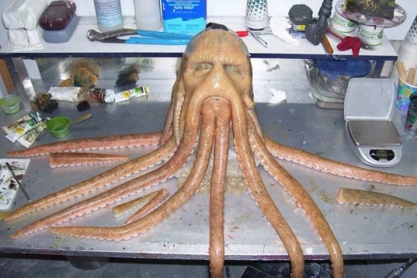 Актуальная ссылка на кракен kraken