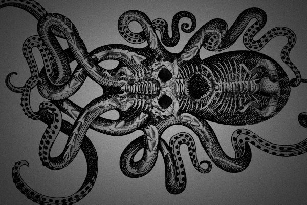 Kraken online