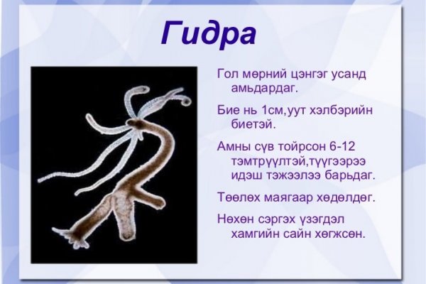 Сайт кракен зайти