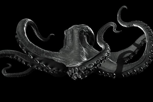 Kraken 13at