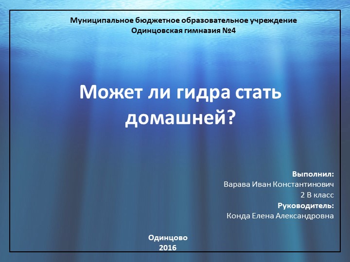 Найти зеркало кракена